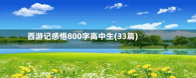 西游记感悟800字高中生(33篇)