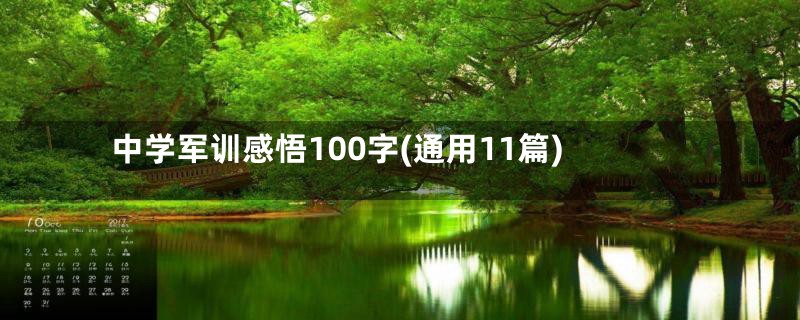 中学军训感悟100字(通用11篇)