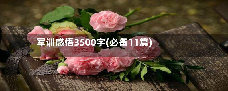 军训感悟3500字(必备11篇)