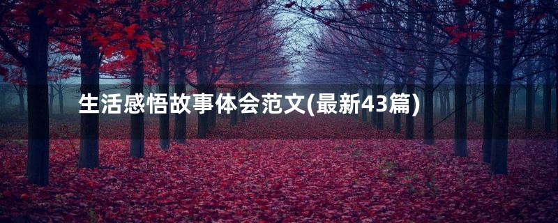 生活感悟故事体会范文(最新43篇)